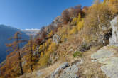 20091030_114620 Dosso Mottone.jpg